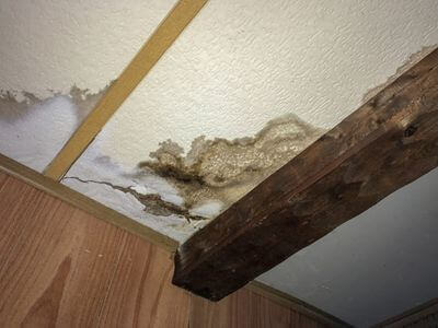 Professional water damage restoration services in Auburn - HydroMint Co